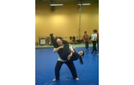 STAGE TRUC LIEN VO DAO à AULNAY